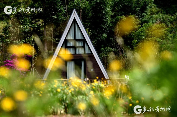 Intl architects bring new life to Guizhou village