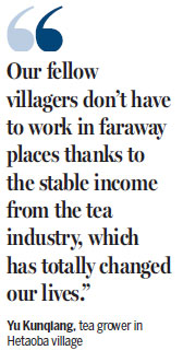 Tea cultivation brews rich lives for villagers