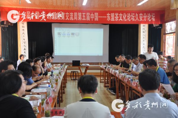 Experts discuss tea culture in Guiyang