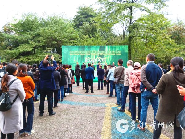 Guizhou launches forest experience project with Germany