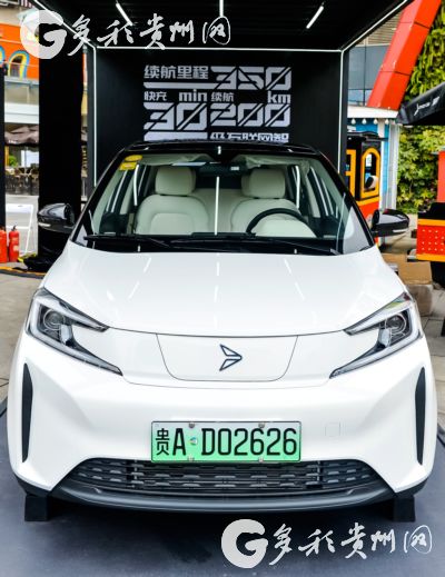 Electric vehicles made in Guizhou hit the market