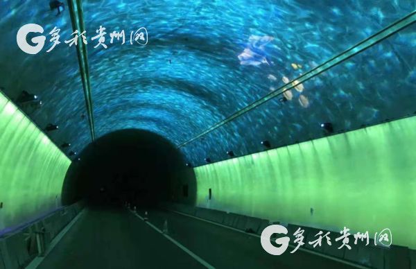 First soothing lighting expressway debuts in Guizhou