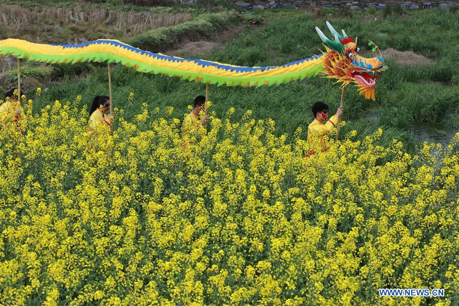 Intangible cultural heritage of Guizhou: Longli's dragon dance