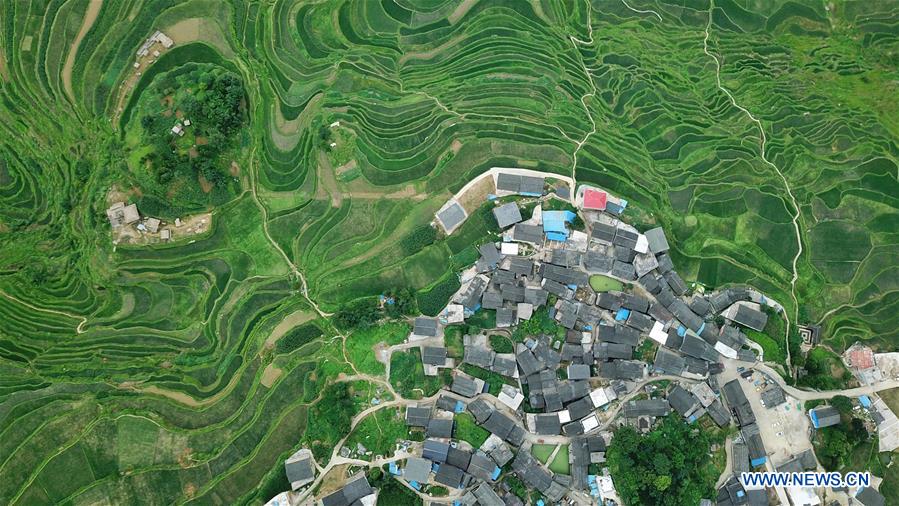 Scenery of Gaoyao terraced fields in SW China's Guizhou