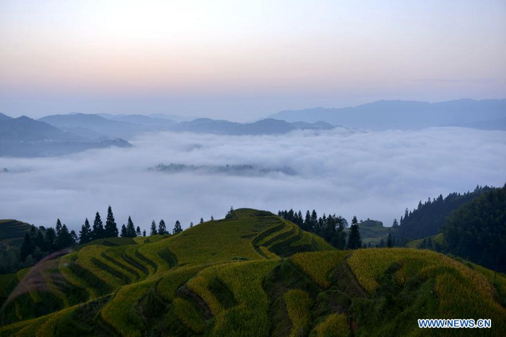 Scenery of Yueliang Mountain in Guizhou