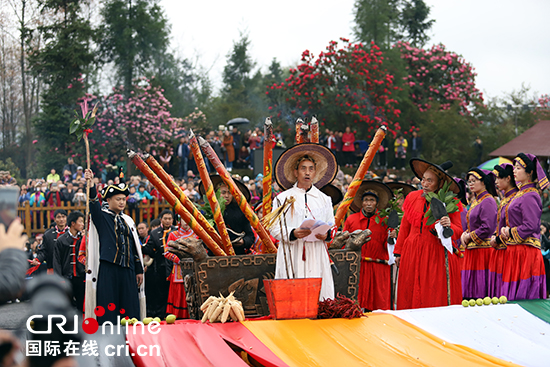Guizhou Baili Azalea Festival begins