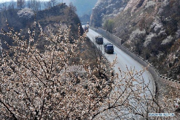 Flowers bloom as spring comes to North China