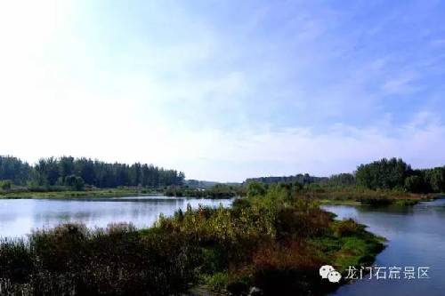 Longmen Grottoes and autumn