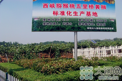 Xixia county's kiwi products become popular overseas