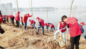 Nanyang residents spring to action to plant trees