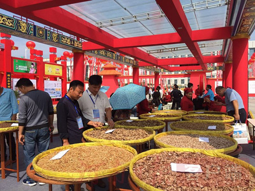 Chinese medicine plantation methods explored at demo bases
