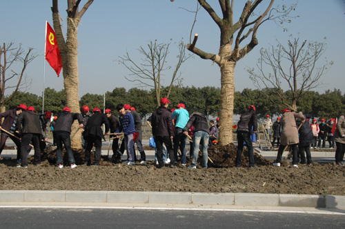 Thousands turn out to plant trees