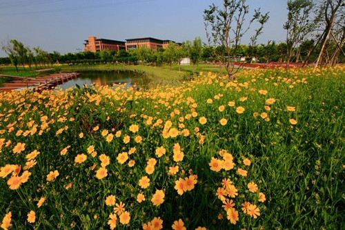 Suzhouhe Riverside Wetland Park completes phase one