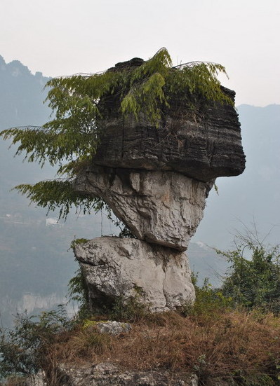 Three Gorges Tribe