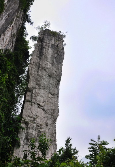 Three Gorges Tribe