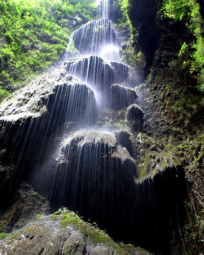 Three Gorges Tribe