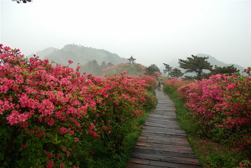 Macheng Tortoise Mountain