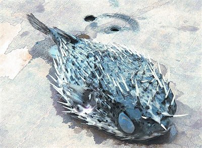 Strange fish with white spines found