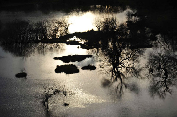 Autumn photos: Wetland view<BR>