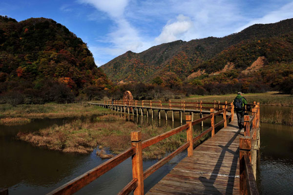 Autumn photos: Wetland view<BR>