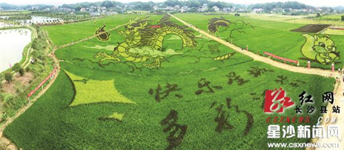 Flying rice field dragon soars in Jiangbei