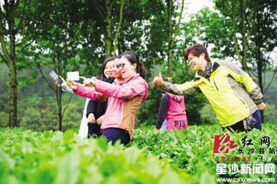 Changsha county opens six 'one-day tour' routes