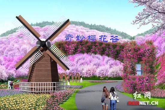 Cherry blossom resort project settles in Changsha county