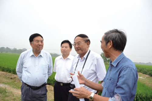 Changsha county praised for leading the way in hybrid rice development