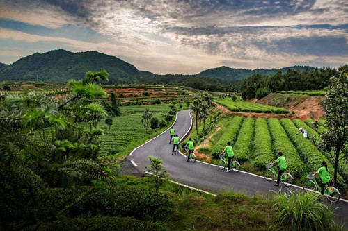 Jinjing; the rebirth of a Hunanese tea town