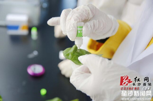 Changsha boosts food testing service