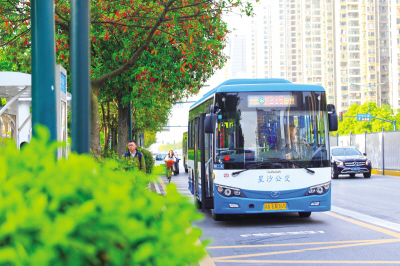 Changsha county promotes new energy vehicles