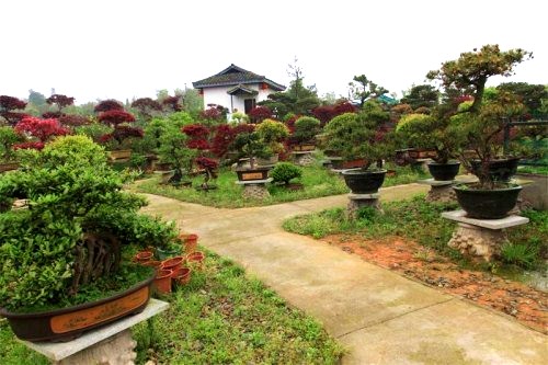 Hunan Tianyi Ecological Farm