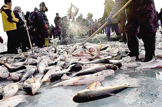 Nanhai Wetland hosts first winter fishing event