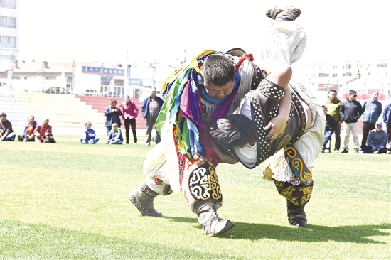 Bokh training for Mongolian wrestlers