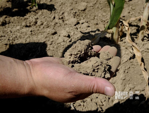 Inner Mongolia suffers from severe drought