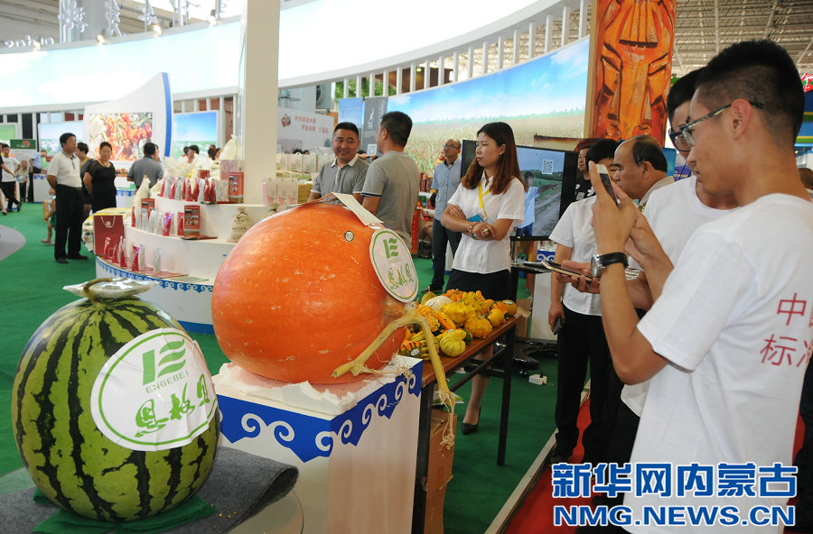 Over 6,100 products on display in Inner Mongolia’s agricultural expo