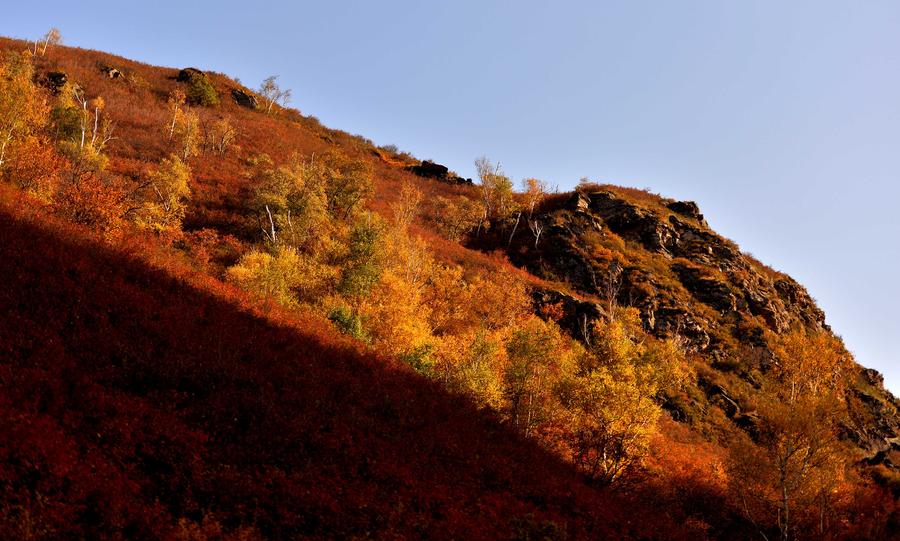 Autumn scene in Daqingshan Nature Reserve