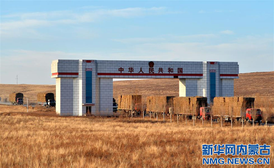 Imported forages arrive in Inner Mongolia