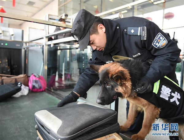 Police dog Princess' first Spring Festival travel rush