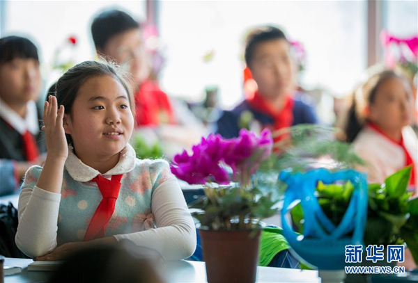 Plants brighten up a classroom in Inner Mongolia
