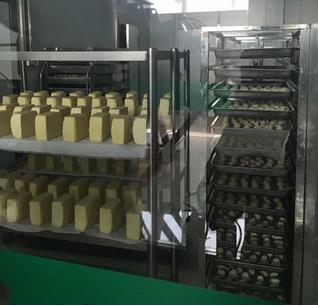 Inner Mongolia develops traditional dairy industry