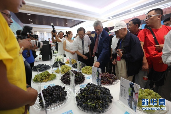 Wuhai hosts desert wine festival