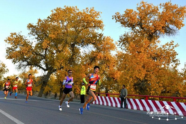 Runners cross rare desert poplar forest