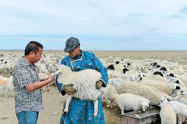 Inner Mongolia makes big strides in economy