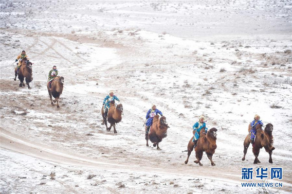 Naadam camel events held in N China