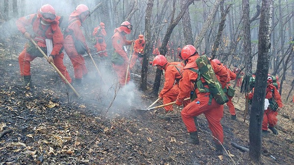 Bilahe forest fires extinguished