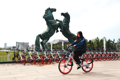 Shared bikes roll into Ordos