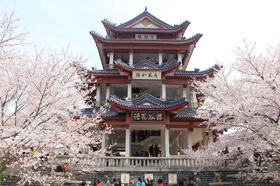 Cherry Blossom Pavilion