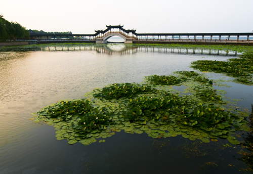 Jinxi: a resting place for souls