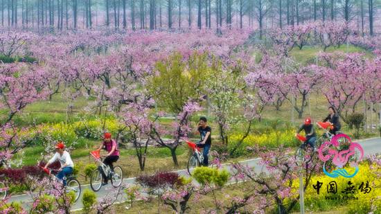 Yangshan Peach Blossom Festival
